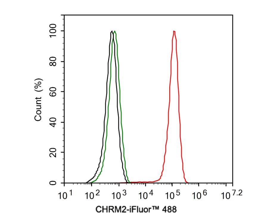 Muscarinic Acetylcholine Receptor M2/CHRM2 Antibody (JE38-35)