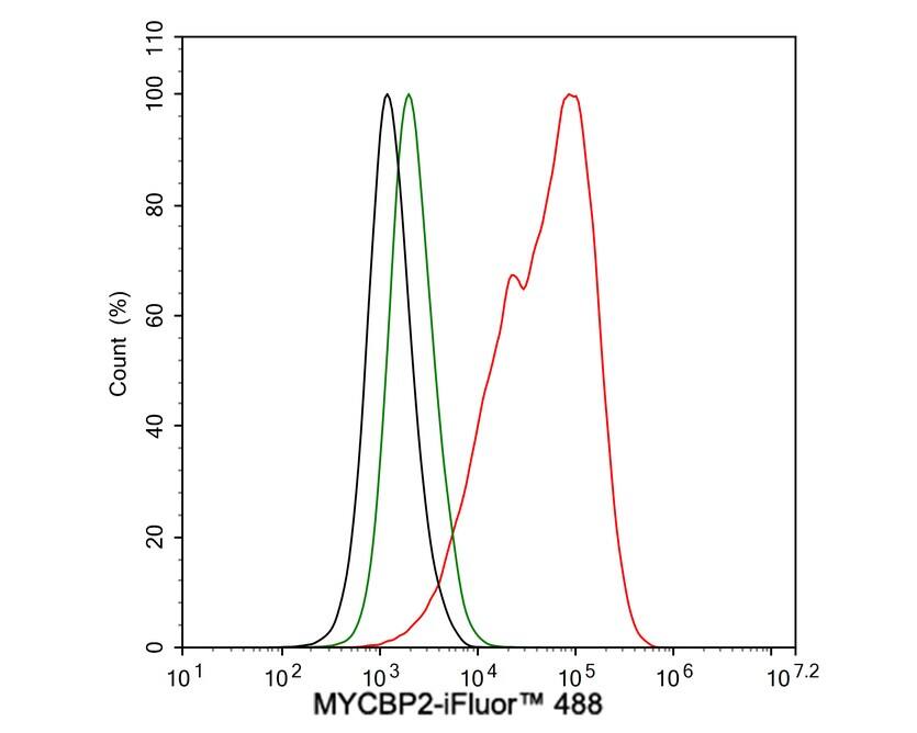 MYCBP2 Antibody (PSH03-68)