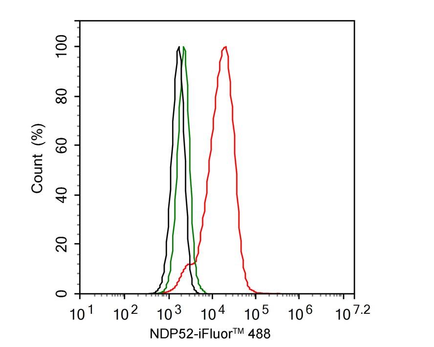 NDP52 Antibody (PSH02-33)