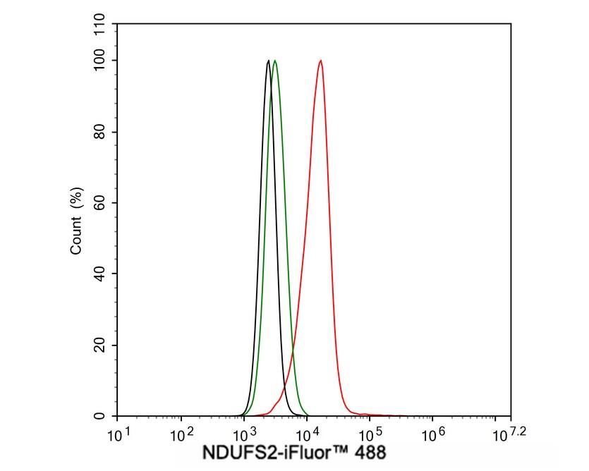 NDUFS2 Antibody (PSH03-26)