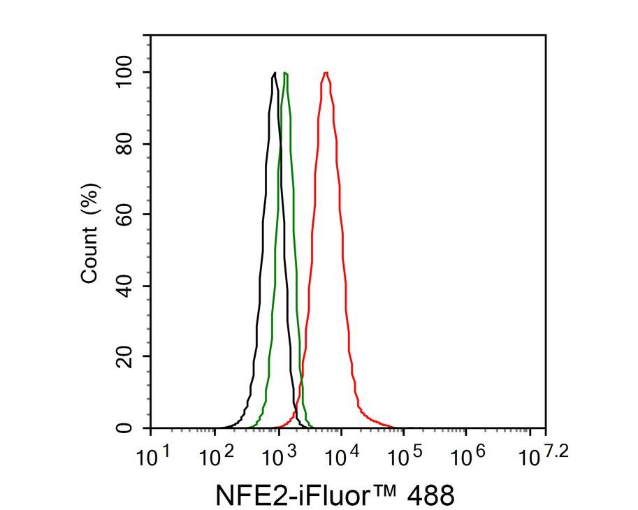 Nuclear Factor Erythroid Derived 2 Antibody (JE65-92)