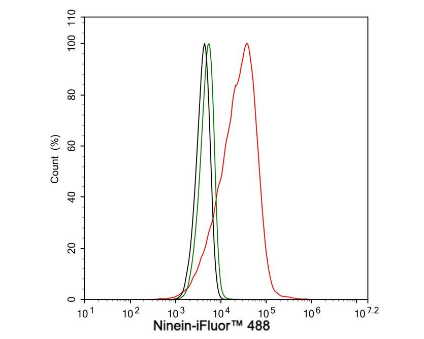 Ninein Antibody (PSH03-46)