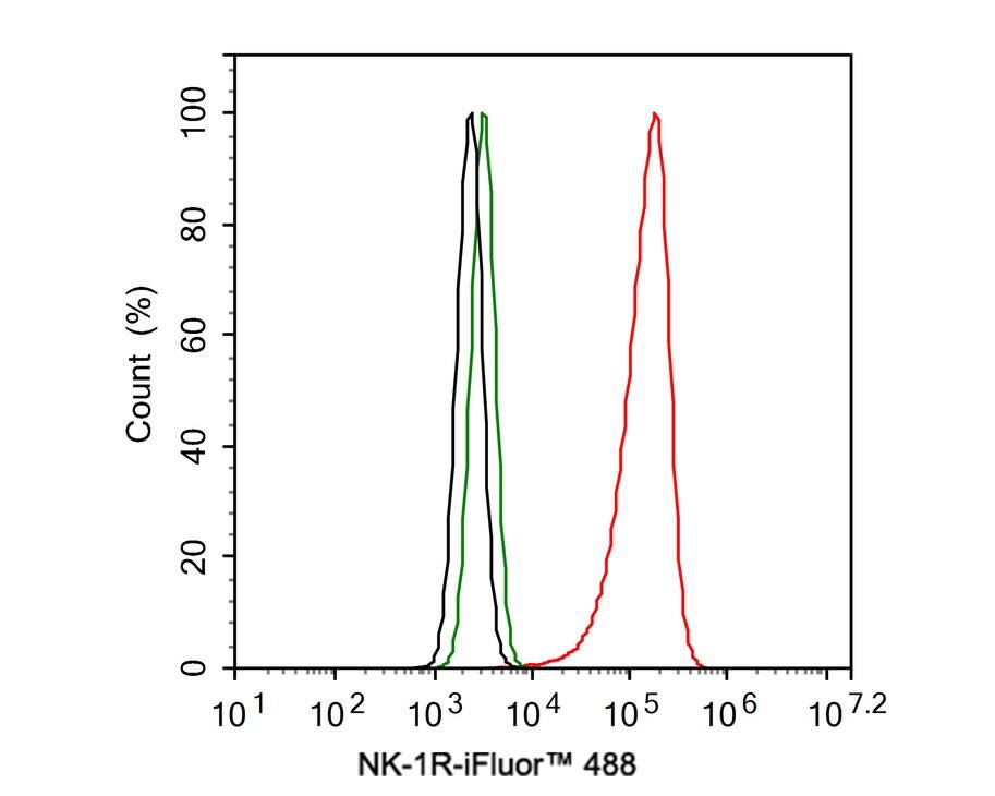 NK1R Antibody (JE39-75)