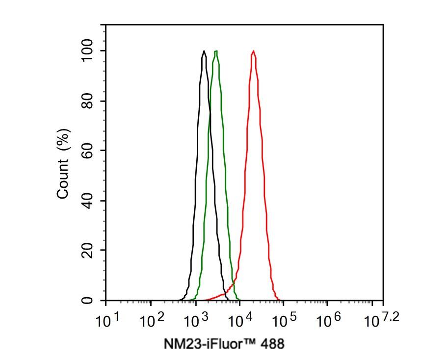 NM23-H1 Antibody (12A1-R)