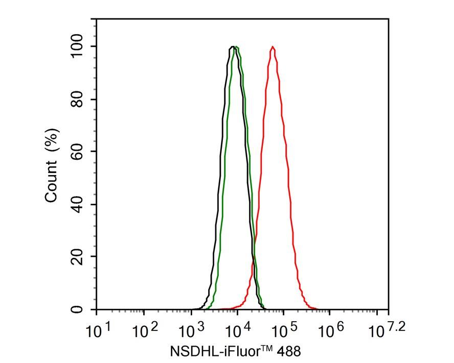 NSDHL Antibody (PSH02-36)