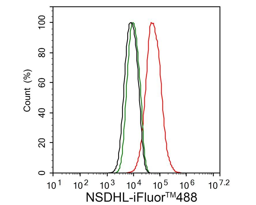 NSDHL Antibody (PSH02-37)