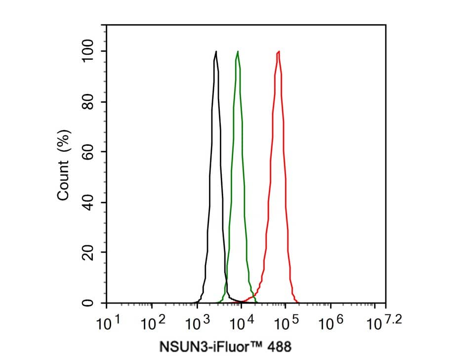 NSUN3 Antibody (PSH01-97)