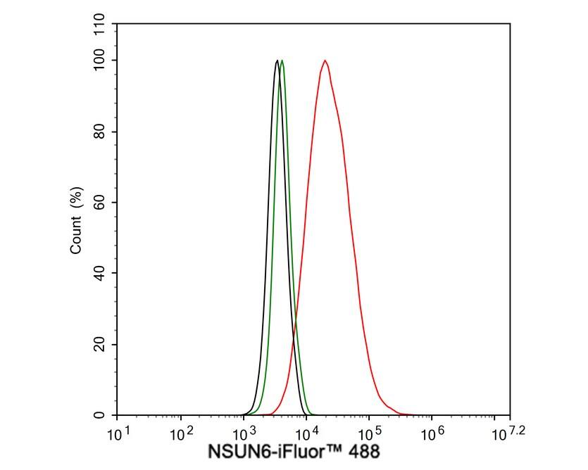 NSUN6 Antibody (PSH02-80)