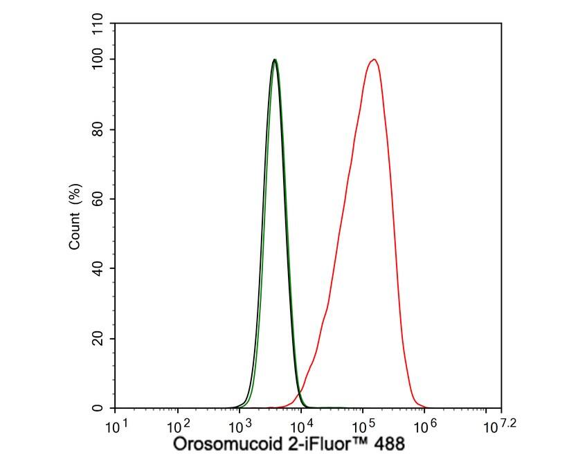 Orosomucoid 2 Antibody