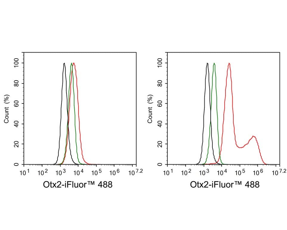 Otx2 Antibody (PSH01-61)
