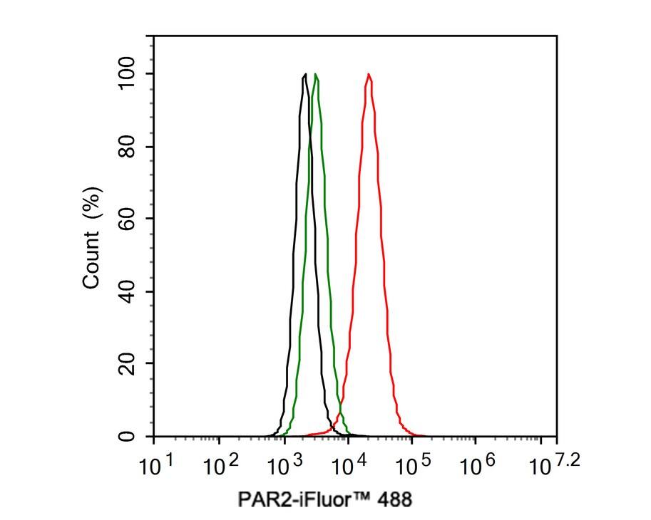 PAR2 Antibody (JE35-05)