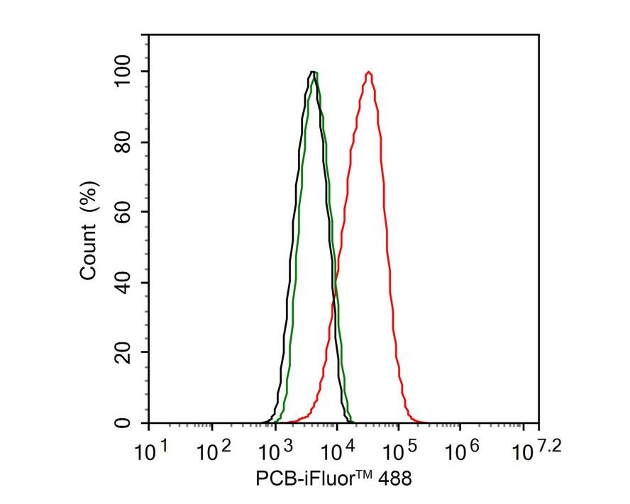 Pyruvate Carboxylase Antibody (PSH01-55)