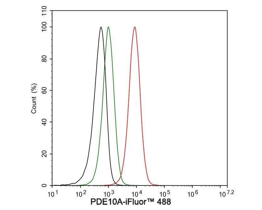 PDE10A Antibody (PSH03-61)