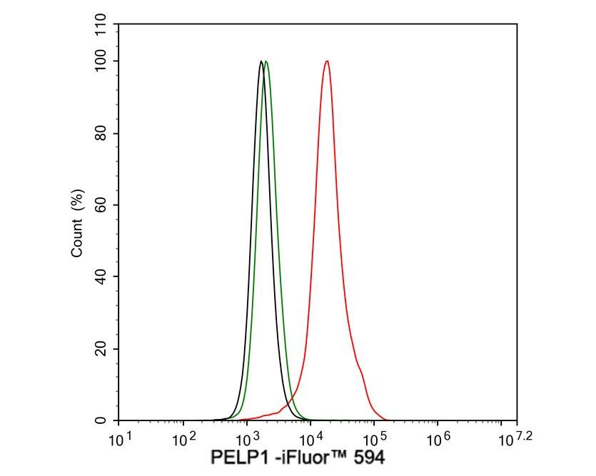 PELP1 Antibody (JE02-42)