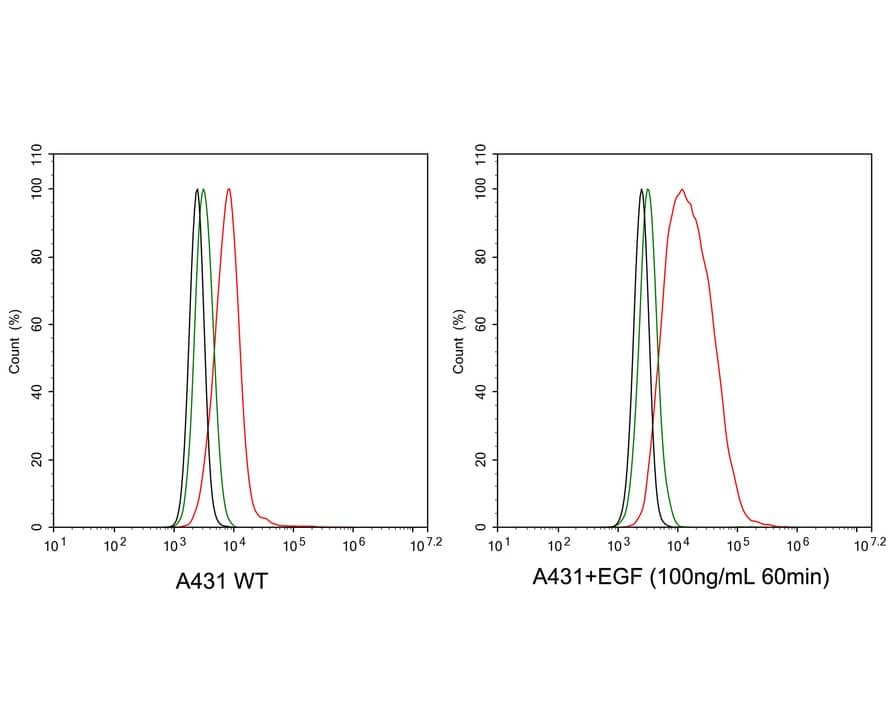 EGFR [p Tyr1045] Antibody (PSH03-28)