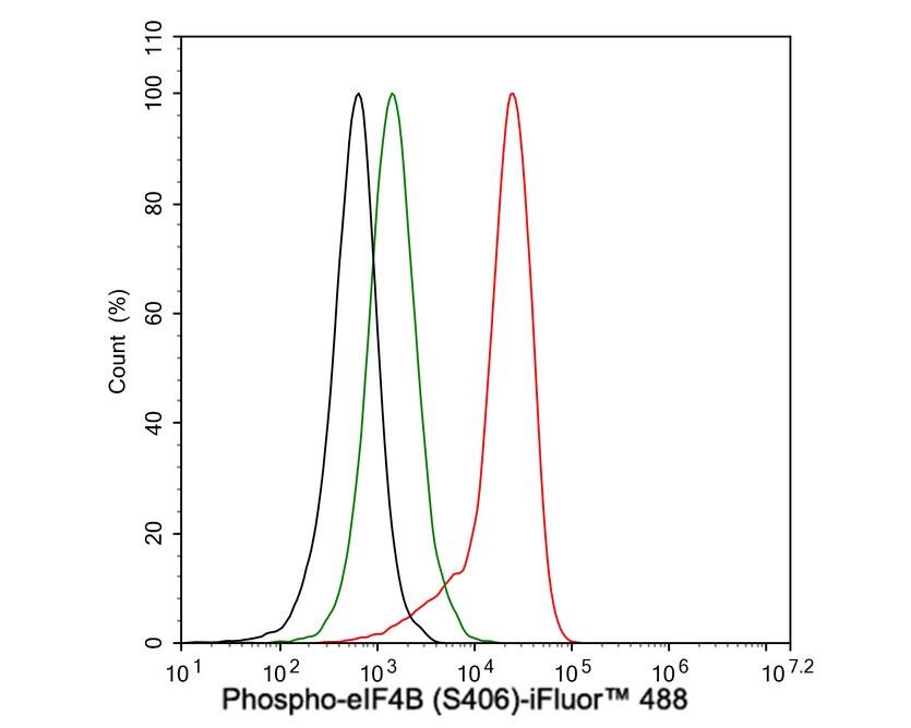 eIF4B [p Ser406] Antibody (JE63-80)
