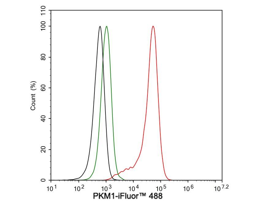 PKM1 Antibody (PSH04-37)