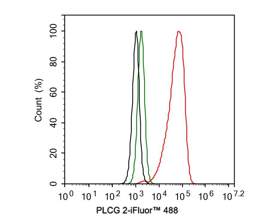 PLC-gamma 2 Antibody (JE39-12)