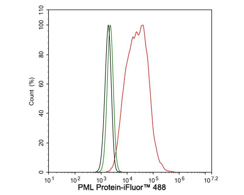 PML Protein Antibody (PSH02-89)