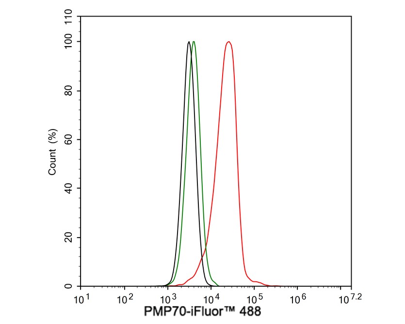 PMP70 Antibody (PSH03-27)