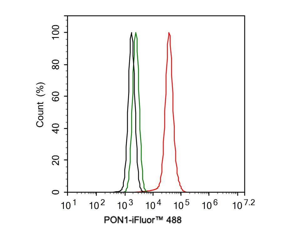 PON1 Antibody (JE30-90)