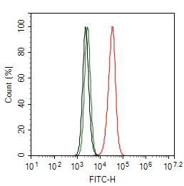 PPP3CB Antibody (PSH0-21)
