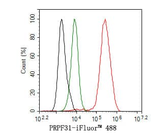 PRPF31 Antibody (JE64-82)
