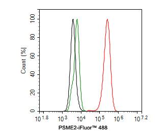 PA28 Activator beta Subunit/PSME2 Antibody (PSH0-10)