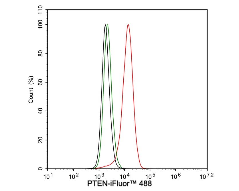 PTEN Antibody (JE51-96)