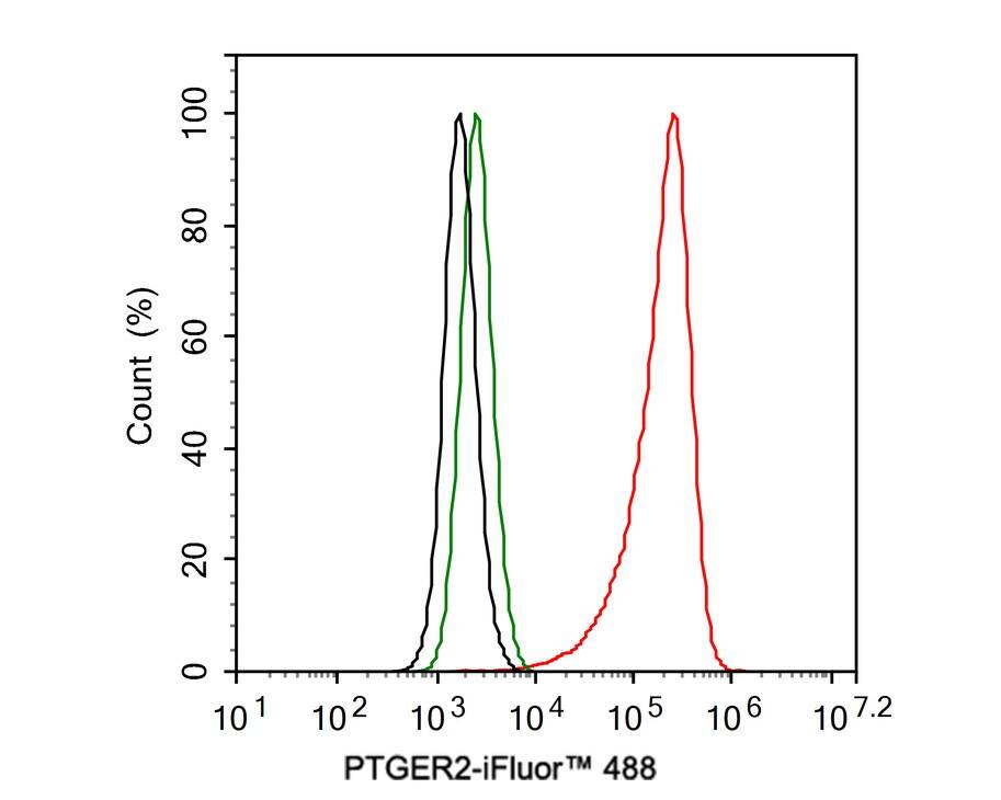 PTGER2 Antibody (JE30-72)