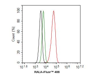 RalA Antibody (JE54-12)