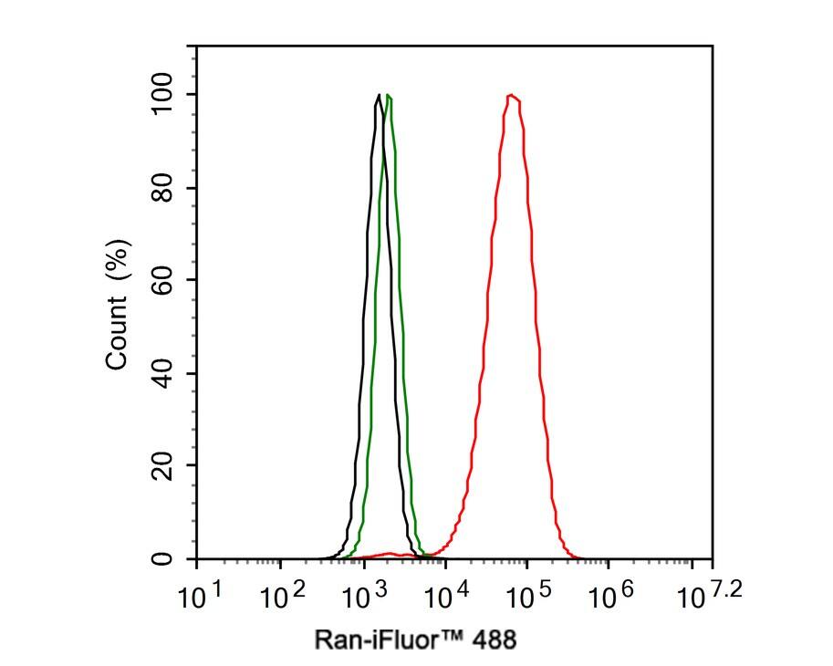 Ran Antibody (JE33-28)