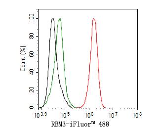 RBM3 Antibody (JE63-84)
