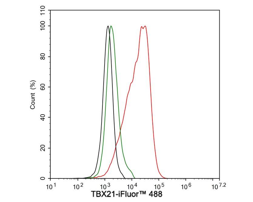 T-bet/TBX21 Antibody (JE60-20)