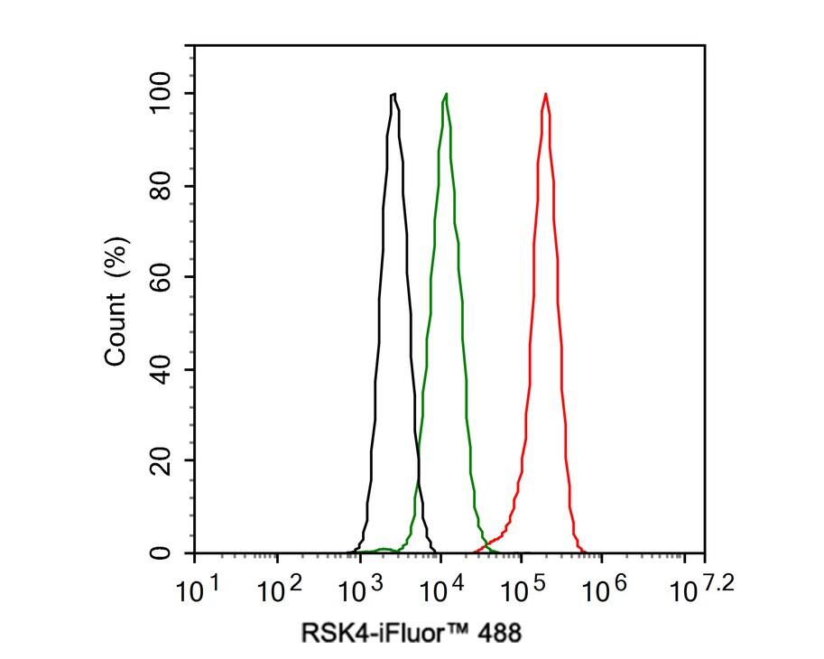 RSK4 Antibody (PSH02-04)