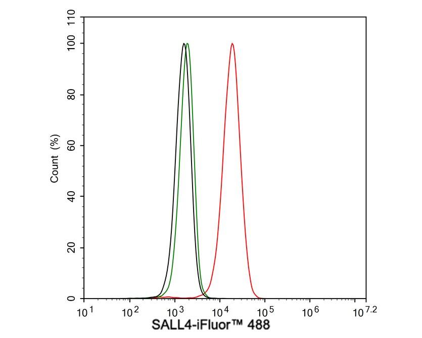 SALL4 Antibody (A7A7-R)