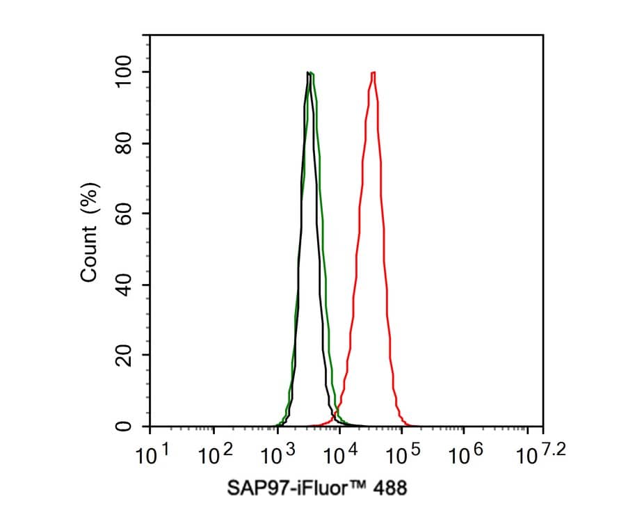 DLG1 Antibody (JE39-74)