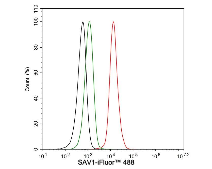 SAV1 Antibody (PSH04-45)