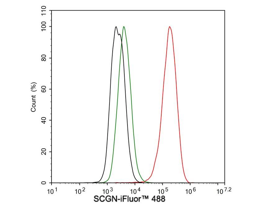 Secretagogin Antibody (JE60-48)