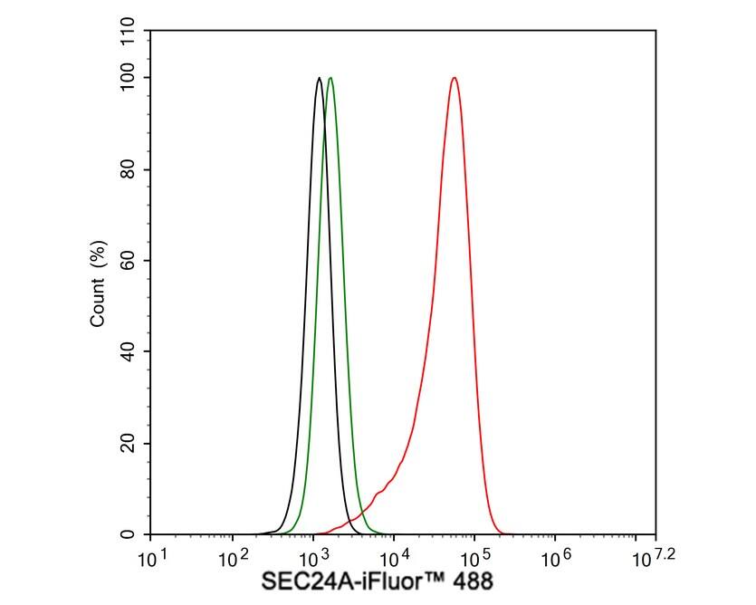 SEC24A Antibody (PSH04-36)