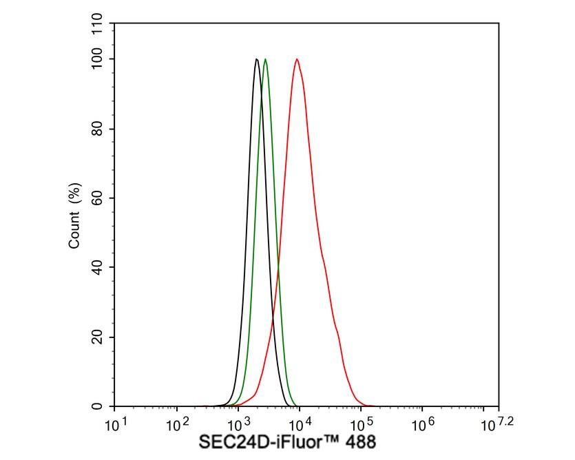 SEC24D Antibody (JE65-27)