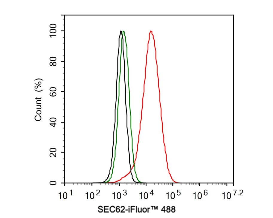 SEC62 Antibody (JE62-80)