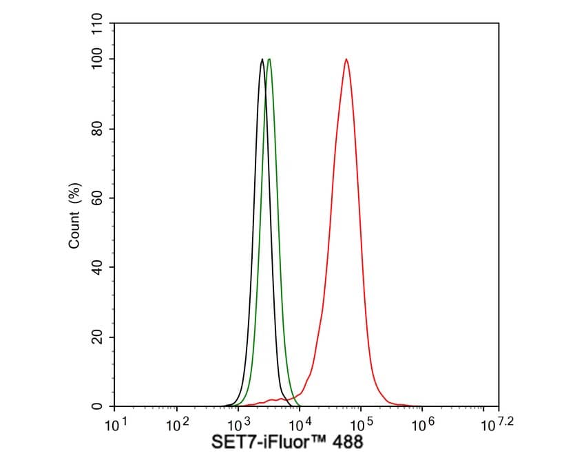 SETD7 Antibody (PSH02-90)