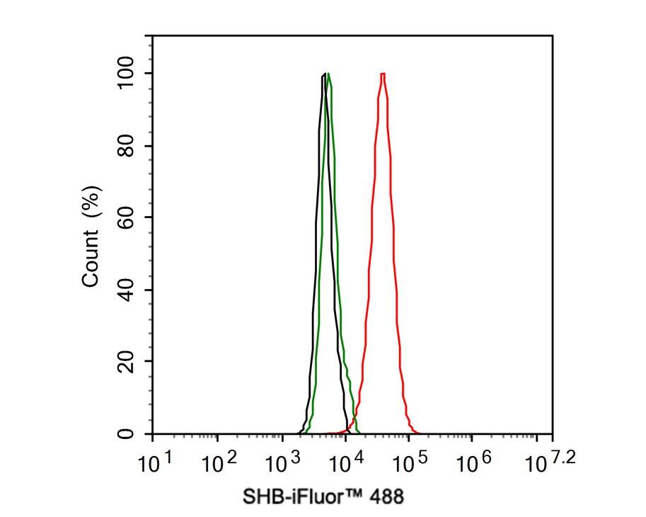 SHB Antibody (JE57-12)