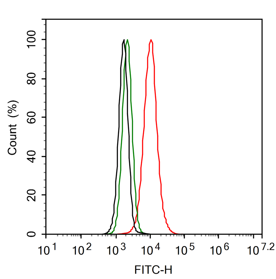 SIRP alpha/CD172a Antibody (JE36-20)
