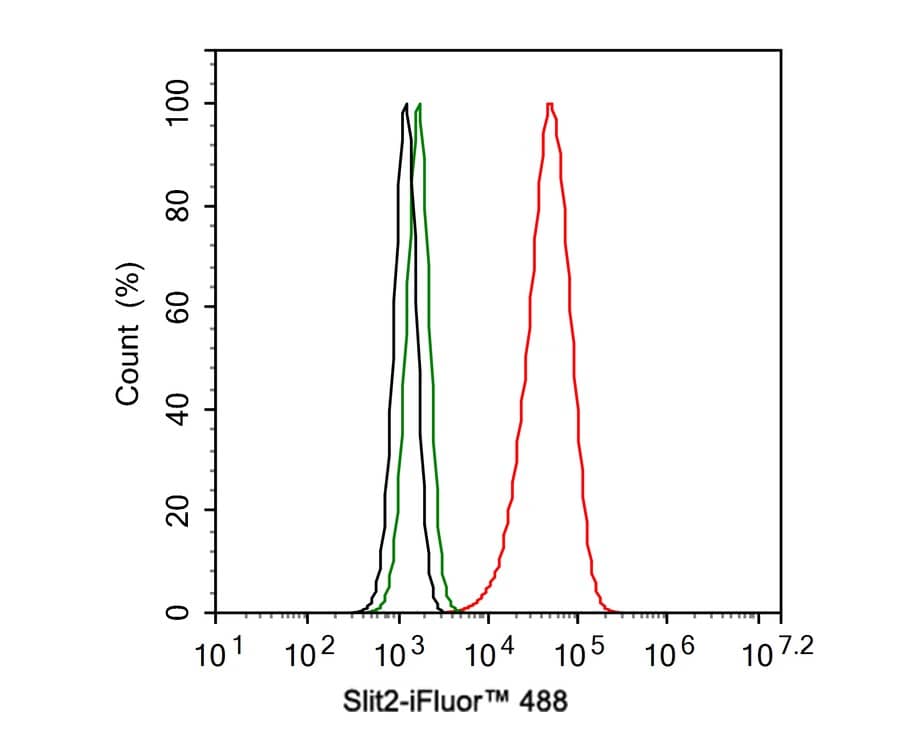 Slit2 Antibody (JE31-87)