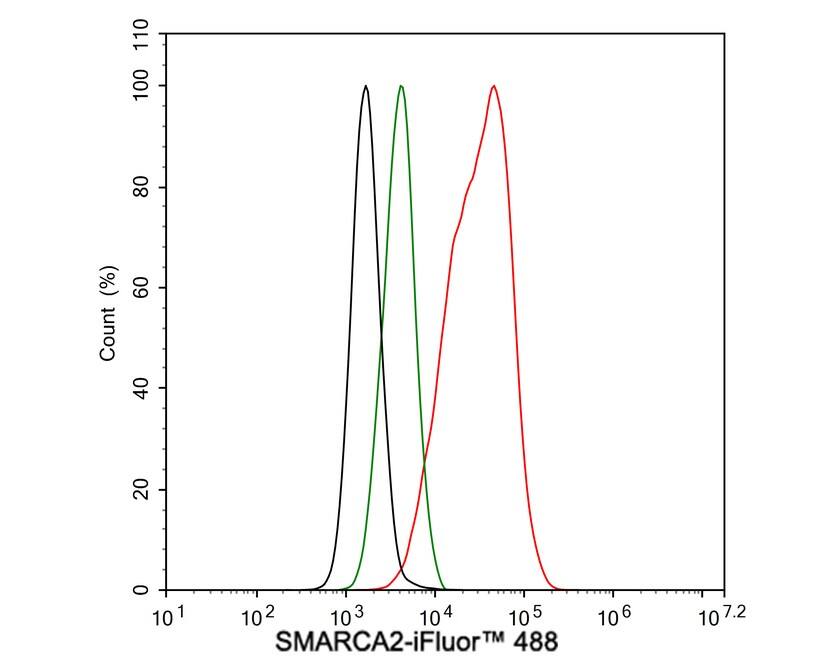 BRM Antibody (PSH01-15)