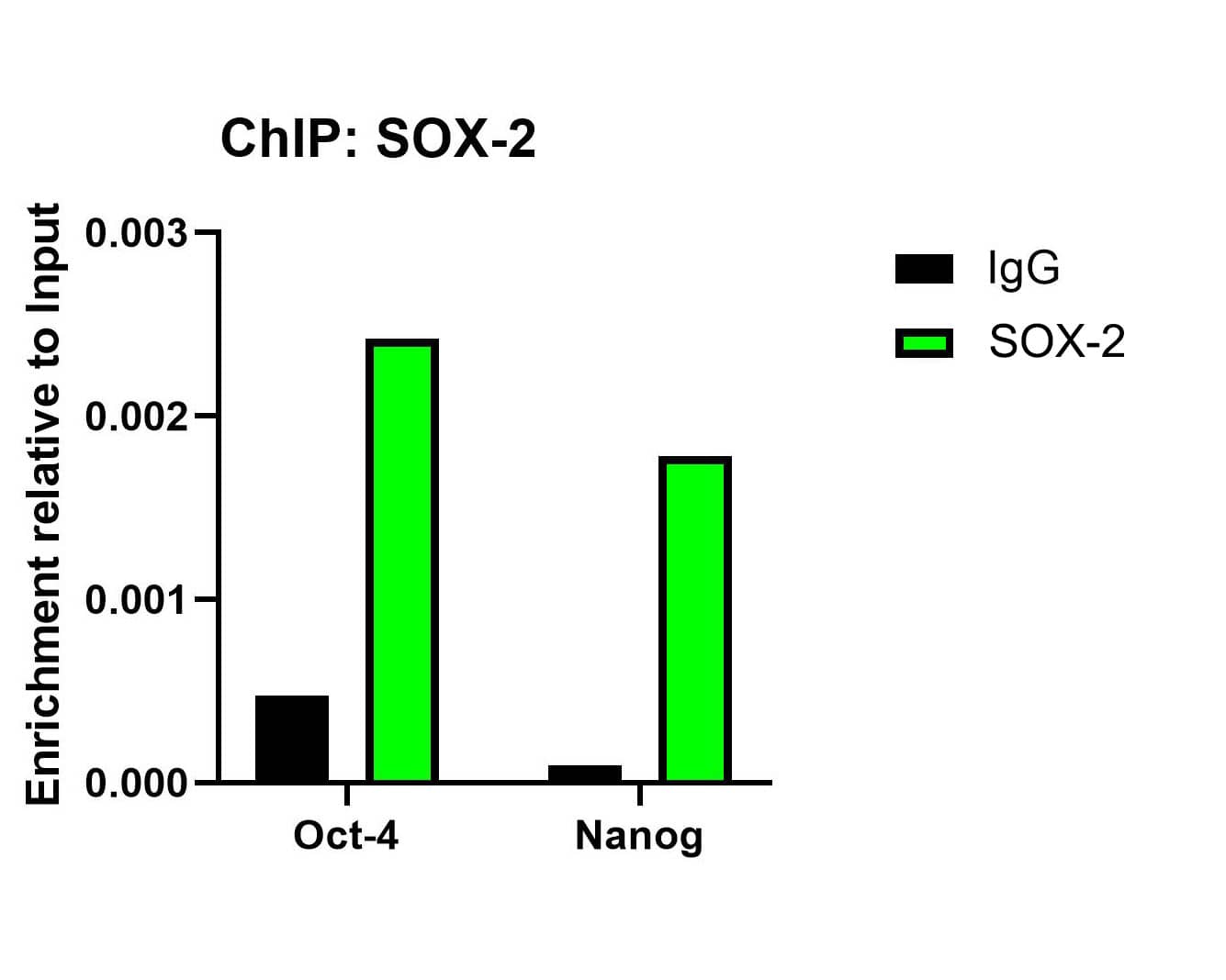 SOX2 Antibody (PO00-28)