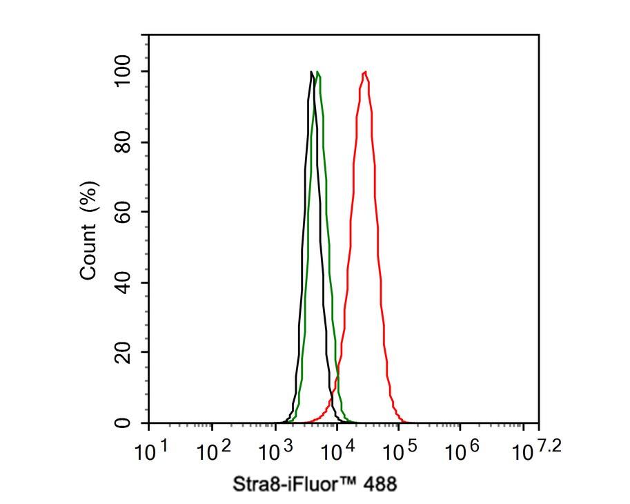 STRA8 Antibody (PSH04-55)