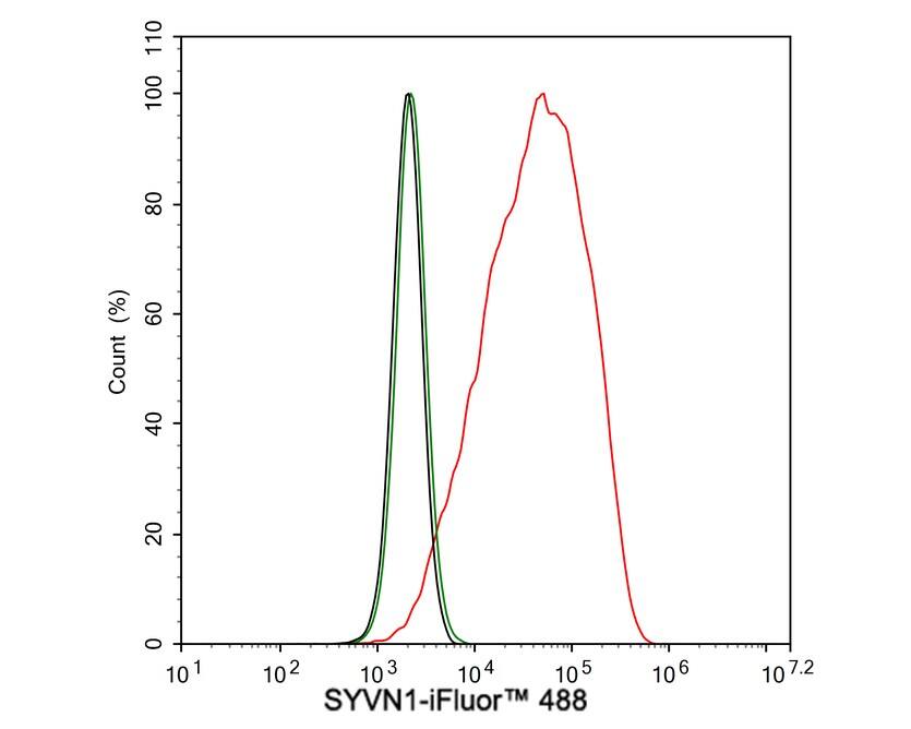 HRD1 Antibody (JE44-67)
